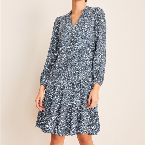 next shift dresses petite